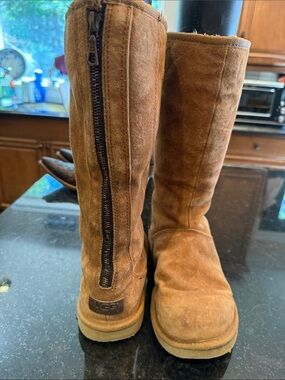 UGG Chestnut Suede Tall Zip Boots